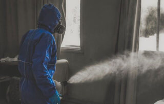 Anecpla alerta sobre la desinfección con ozono