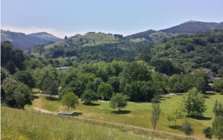 Encuentran larvas de la plaga de mejillón cebra en un embalse de Bizkaia