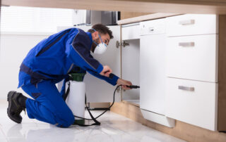 Solicitan amparo al Araterko por unas labores de desinsectación